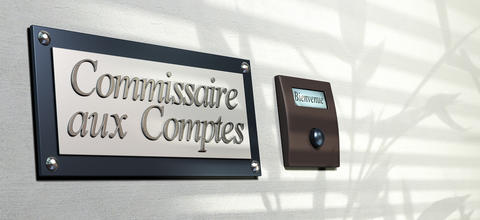 Audit et commissariat